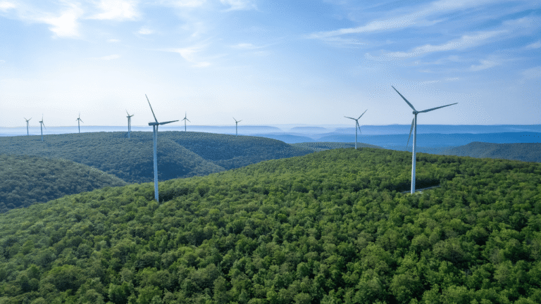 InnoEnergy wskazuje kierunki inwestycji: data centers, zielona stal i przemysł przy OZE